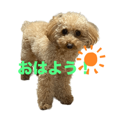 tonchan_20260120205428