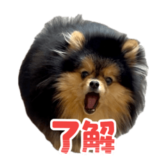 Masa_20260120184746