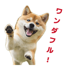 Animal DAJYAREDAYO