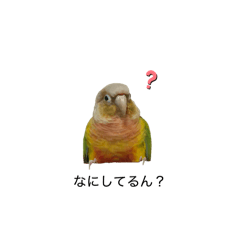 J_20260120223258