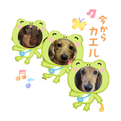 yuzuki928_20260120223317