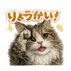 Tantan._20260121005119