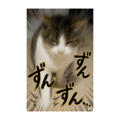 cat20260117223102