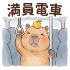 水豚君的耍廢日常