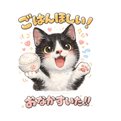 chipi_20260120171206