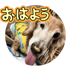 ayuponman_20260120172148