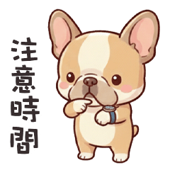 dog french bulldog6