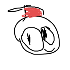 komugi_20260120200000