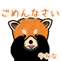Yawana's lesser panda