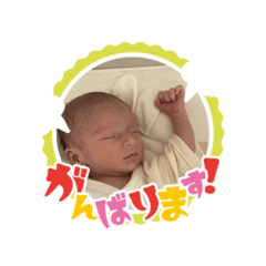 tsuru_20260120175202