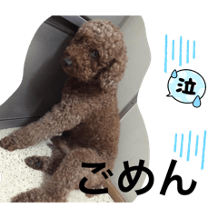mie_20260121104422