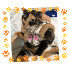 我的兒子女兒愛睡覺