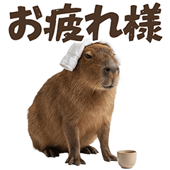 Easy to use! Realistic Capybara
