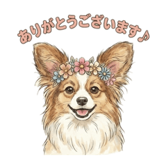 Ravy Lavie_20260120230702