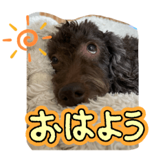 matsuri_20260120230408