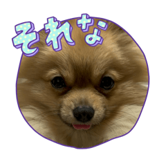 Ayano_20260120230808