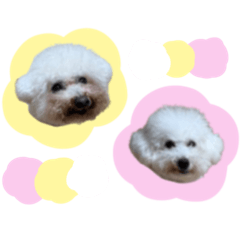 Nishinana_20260120231420