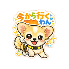 charo_20260121100750