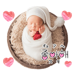 ayapon_20260121002709