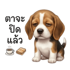 บีเกิล, ขี้เกียจจังเลย โฮ่งๆ!