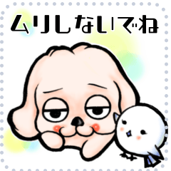 【ゆるだる犬】仕事・ママ友MessageStamp10