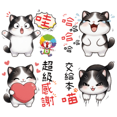 小喵的軟萌日常