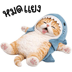 Cute Orange cat in Shark outfit