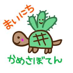 まいにちかめさぼてん