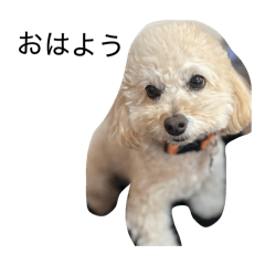 retas_20260120202927