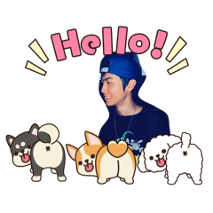 新北帥哥秒回用