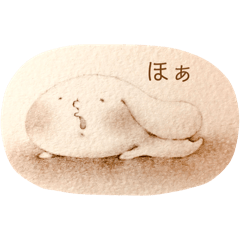 chamaco_20260120190123