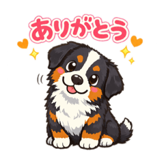 bunny_20260120220343