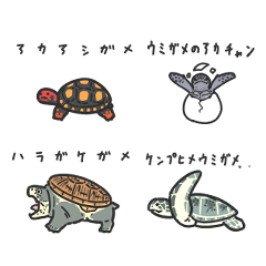 Turtle stacking Personalized