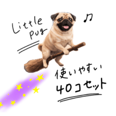 Littel pug sticker for happy everyday