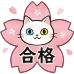 Odd-eye White Cat: Exam Support