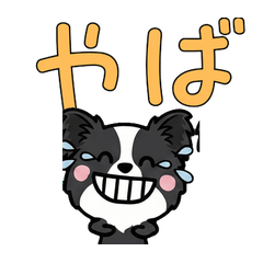 Overreaction Black Papillon 3rd