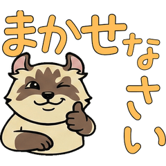 Animated Polite American Curl  18th