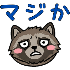 Round Ezo Raccoon Dog  22nd