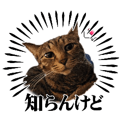 mhuTairiku_20251215065616