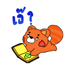 paopao_20260120222125