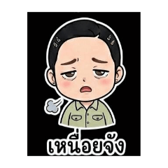 wanwan_20260121103434