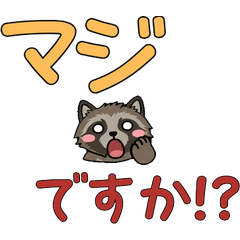 Polite Ezo Raccoon Dog  24th