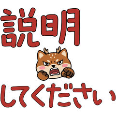 Polite Ezo Sika Deer  24th