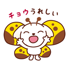 Momo the Maltese_Puns galore 3