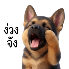 เยอรมันเชพเพิร์ด, ขี้เกียจจังเลย โฮ่งๆ!