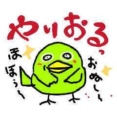 ENANOK_20260120201348