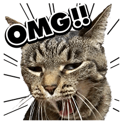 BIG sticker. cat! cat! cat!!!