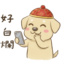 Labrador New Year is so cute.