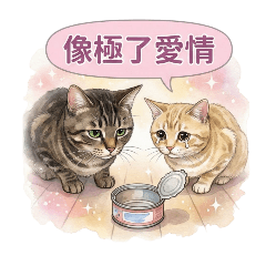 小虎斑日常：像極了愛情