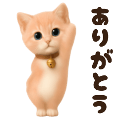 Dancing  Honwaka cat